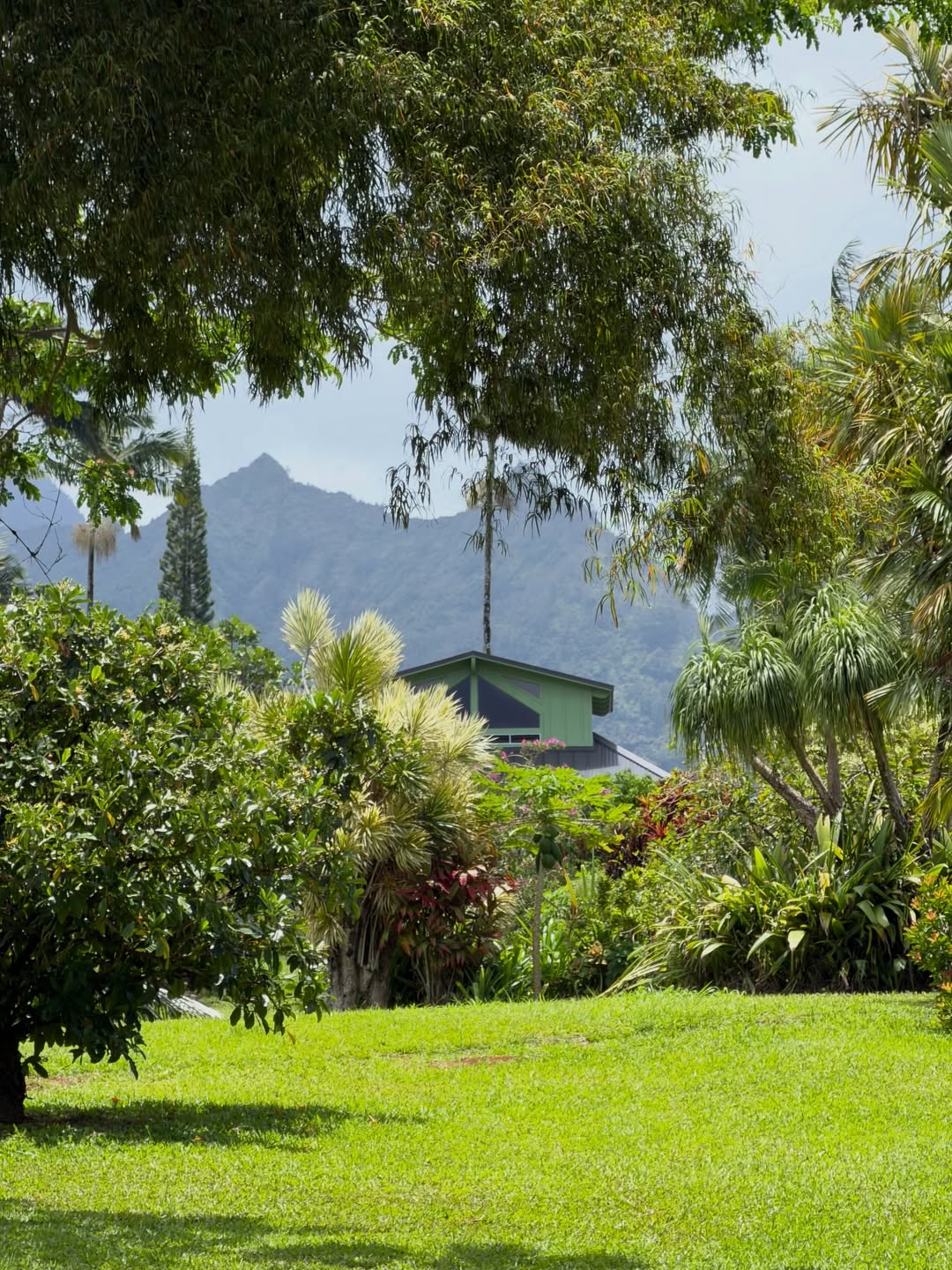 Campus roof among tropical gardens with Kauaʻi mountains beyond
