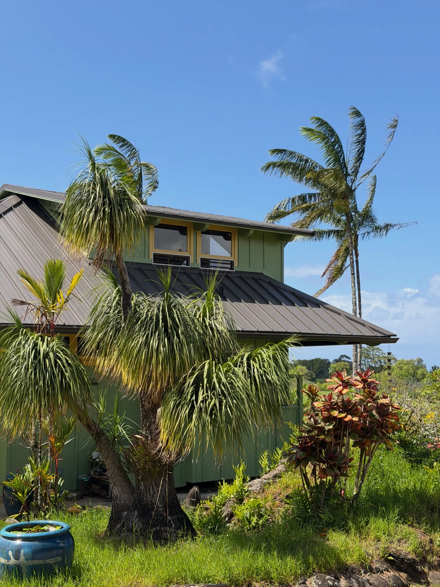 Campus architecture with palms against a clear Kauaʻi sky